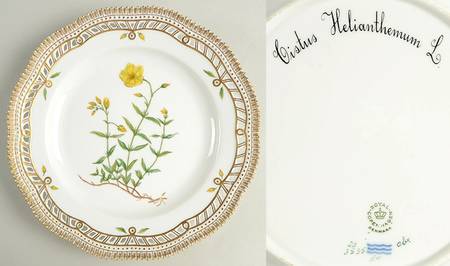 Flora Danica (1961 To Current) 10" Pierced Dinner Plate/Fruit Std-Cistus Helianth
