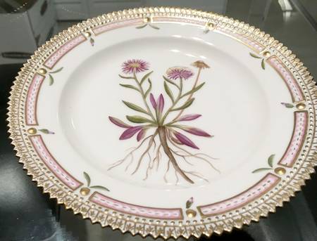 Flora Danica (1961 To Current) Salad Plate-Erigeron eriocephalus J Vahl