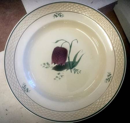 RCO1 Dinner Plate