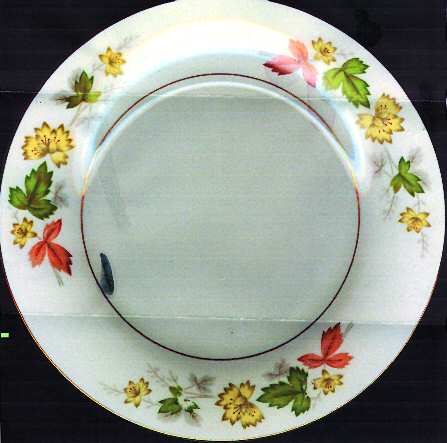 Alyson Salad Plate