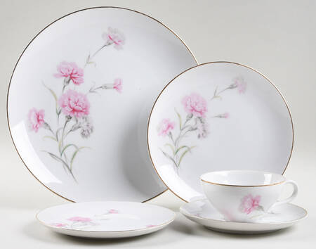 Carnation 40 Piece Estate Set