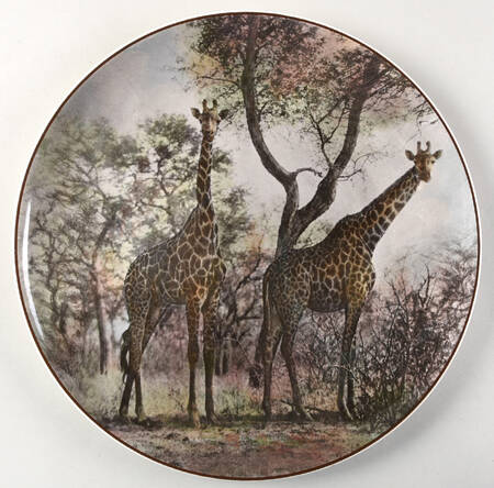 African Series Multicolor (Coupe) Dinner Plate