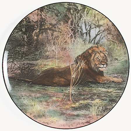 African Series Multicolor (Coupe) Dinner Plate