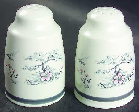 Asian Dawn Salt & Pepper Set