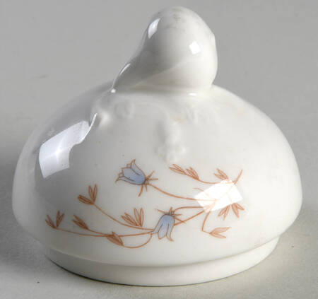 Brienne Lid for Sugar Bowl