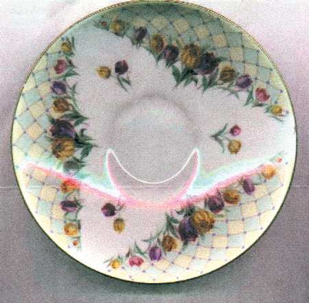 Darwin by Royal Doulton