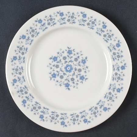 Galaxy Luncheon Plate