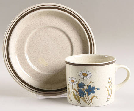Hill Top Flat Cup & Saucer Set