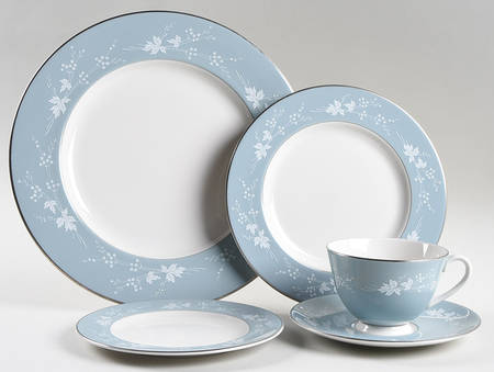 Reflection 5 Piece Place Setting