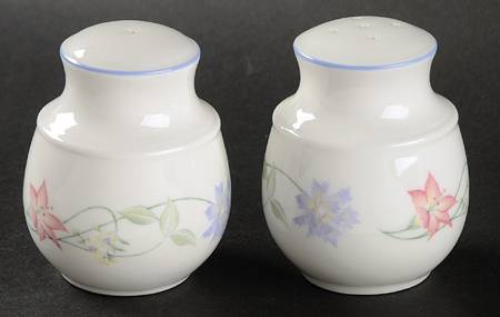 Summer Carnival Salt & Pepper Set