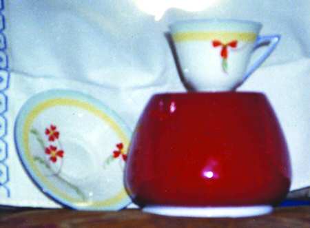V1309 by Royal Doulton