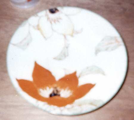 V1315 by Royal Doulton