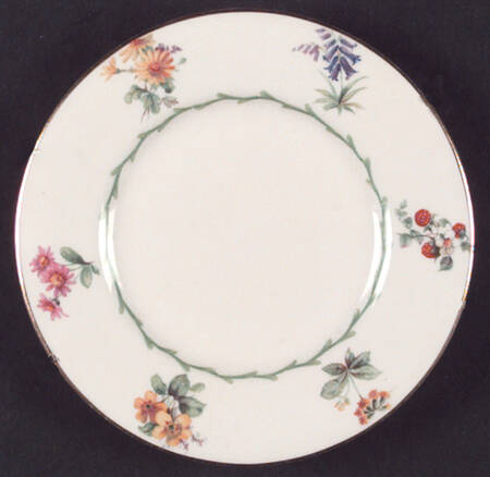 V1566 by Royal Doulton