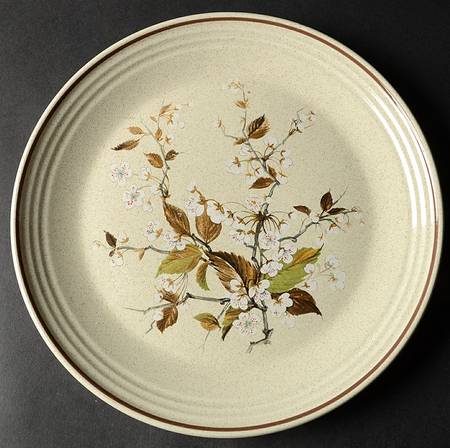 Wild Cherry by Royal Doulton