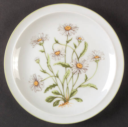 Wild Daisy by Royal Domino