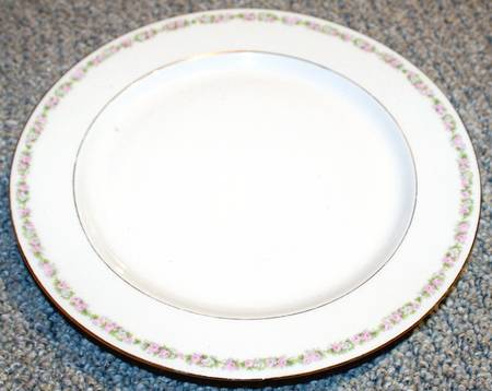 RDN24 Dinner Plate
