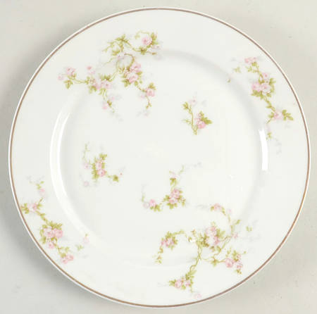 RDN3 Salad Plate