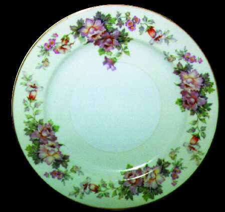 REG4 Dinner Plate