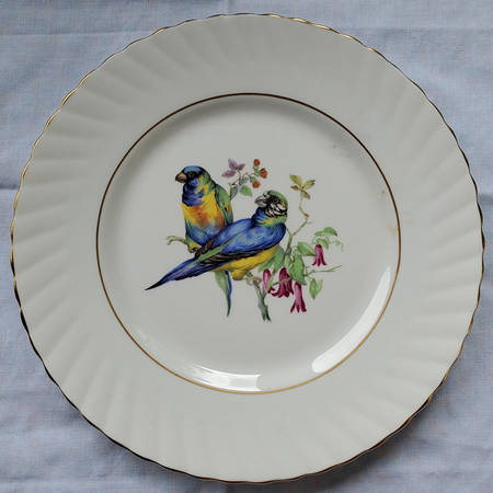 Birds of America Salad Plate