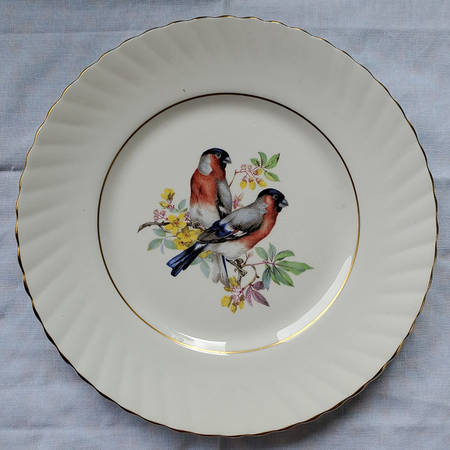 Birds of America Salad Plate