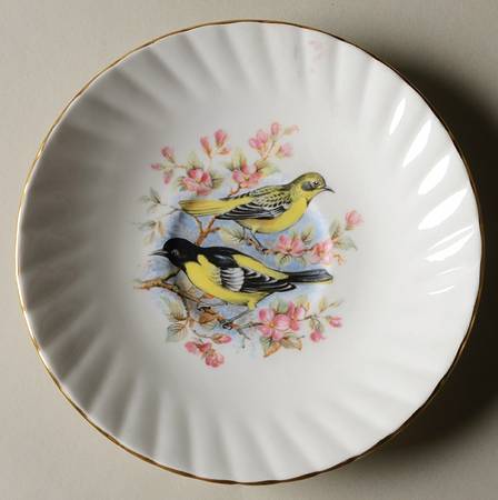 Birds of America Saucer for Footed Cup