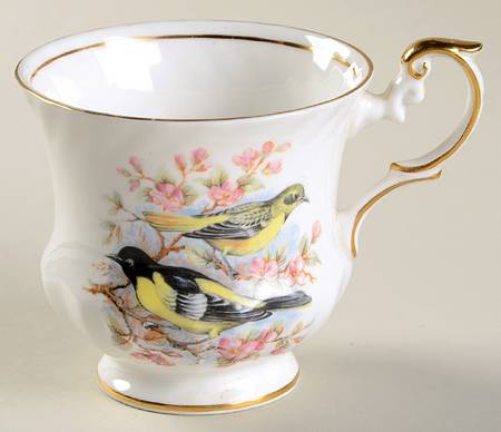 Birds of America Footed Cup