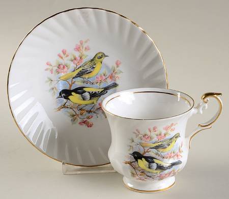 Birds of America Footed Cup & Saucer Set