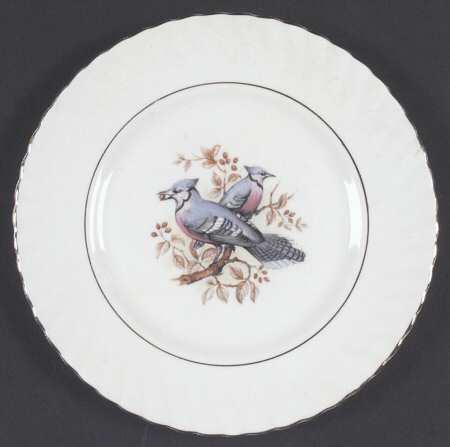 Birds of America Salad Plate