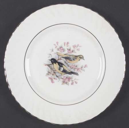 Birds of America Salad Plate