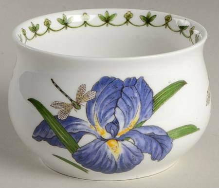 Blue Iris Open Sugar Bowl
