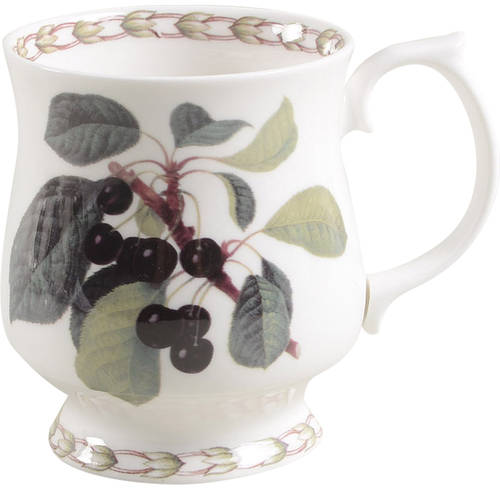 Hooker's Fruit (Bone, Made In England) Footed Mug