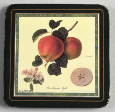 Hooker's Fruit (Bone, Made In England) Square Corkback Coaster