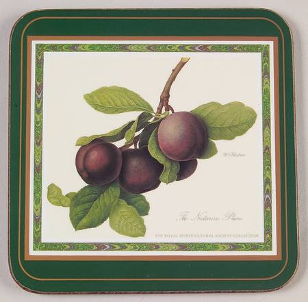 Hooker's Fruit (Bone, Made In England) Square Corkback Coaster
