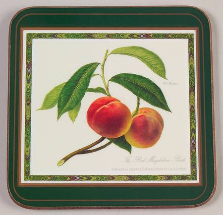 Hooker's Fruit (Bone, Made In England) Square Corkback Coaster