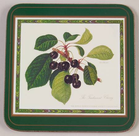 Hooker's Fruit (Bone, Made In England) Square Corkback Coaster