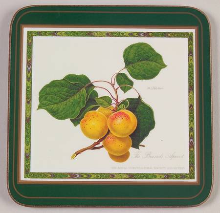 Hooker's Fruit (Bone, Made In England) Square Corkback Coaster