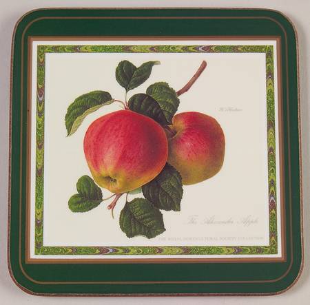 Hooker's Fruit (Bone, Made In England) Square Corkback Coaster