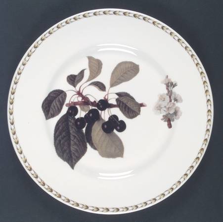 Hooker's Fruit (Bone, Made In England) Dinner Plate