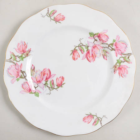 Magnolia by Roslyn (England)