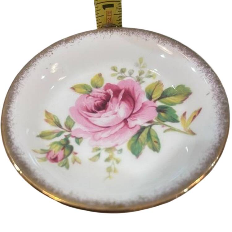 American Beauty (White Background) Butter Pat