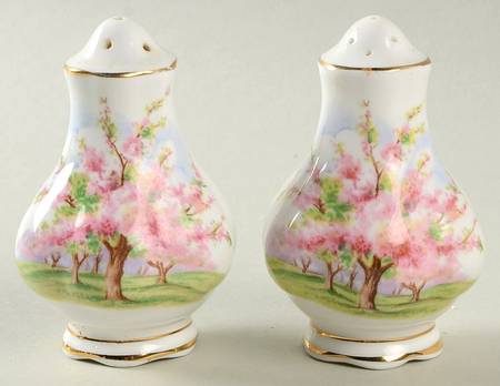 Blossom Time Salt & Pepper Set