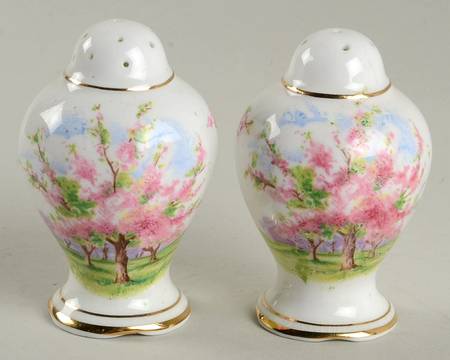 Blossom Time Salt & Pepper Set