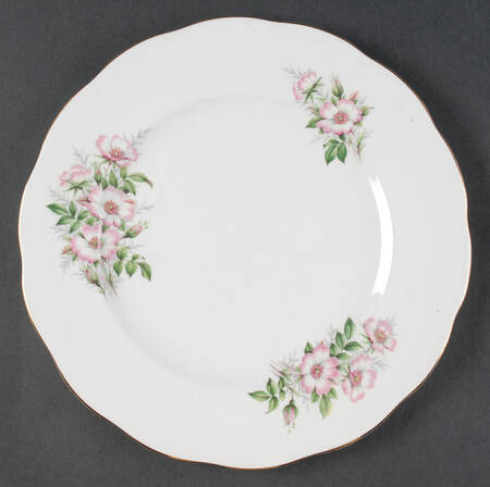 Friendship Series Dinner Plate