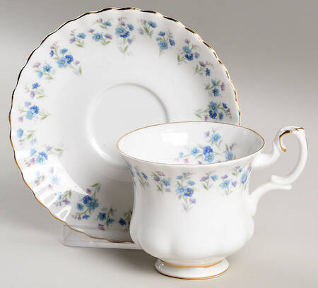 Memory Lane Footed Cup & Saucer Set by Royal Albert