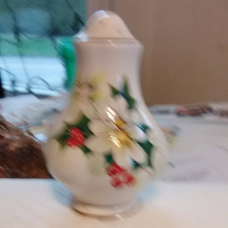 Poinsettia Salt Shaker