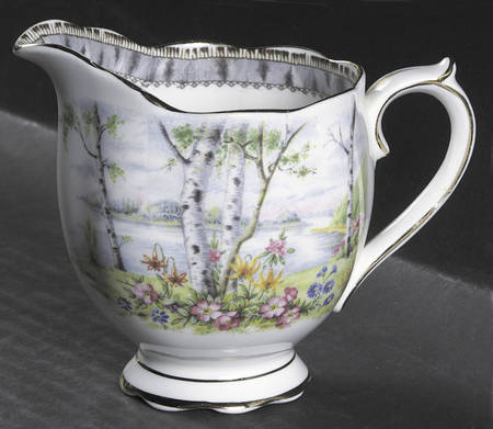 Silver Birch Creamer