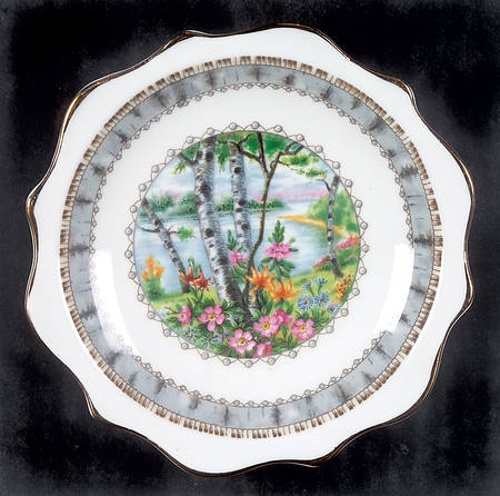 Silver Birch Coaster