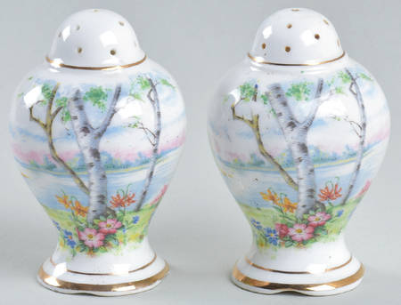 Silver Birch Salt & Pepper Set