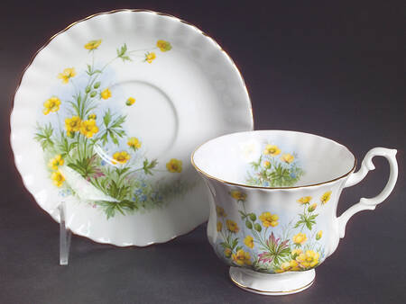 Sunnyside Series (Hampton Shape) Footed Cup & Saucer Set