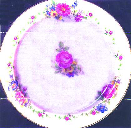 ROB124 Salad Plate